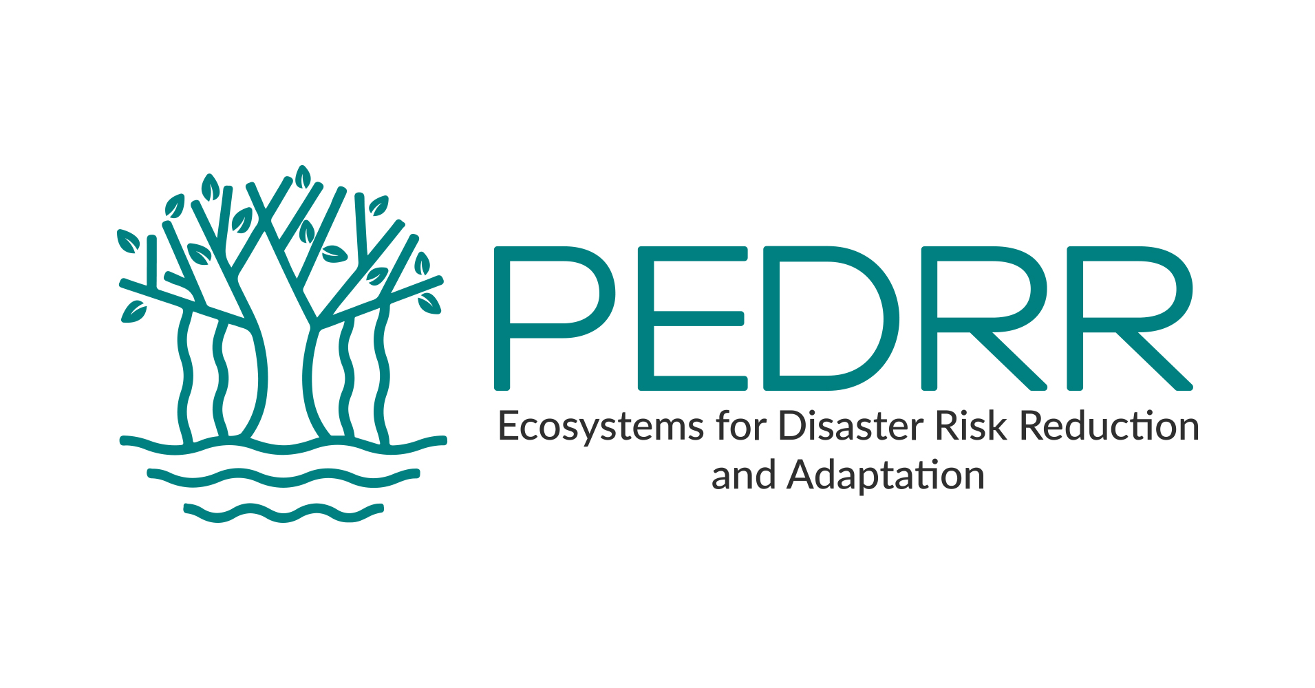 El INDESS entra a formar parte de la Alianza para el Medio Ambiente y la Reducción del Riesgo de Desastres (PEDRR) de Naciones Unidas gracias al Laboratorio Social COEDPA.